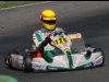 ADAC Kart Masters, Hahn (D)